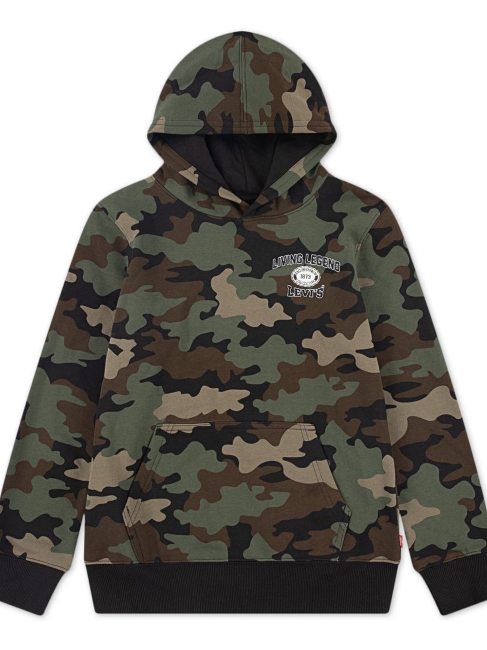 Levi's Boys 2T-7 Camo Pullover Hoodie